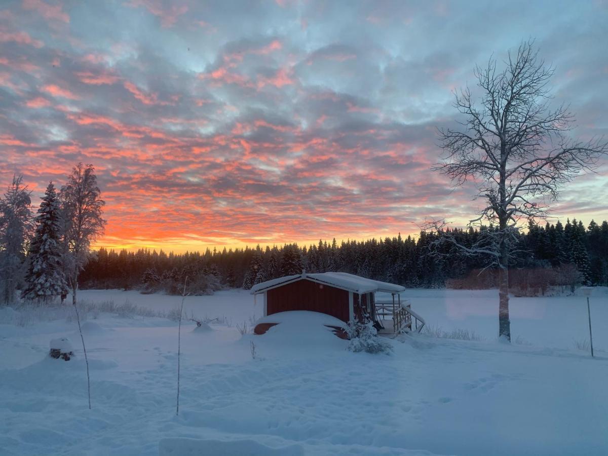 Luxus Tiny House Saagala Villa Tornio Luaran gambar